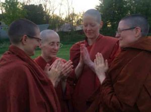 bhikkhunis